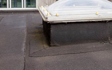 disadvantages of Shankill flat roofs